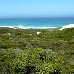 ZA_AL_De Hoop Nature Reserve2